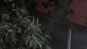 Miles de personas salieron a las calles a ayudar a atrapados en edificios colapsados en México.