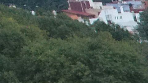 En el Colegio Enrique Rébsamen siguen las labores de rescate.