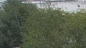 Los mexicanos están unidos para ayudar a víctimas de los sismos en su país.