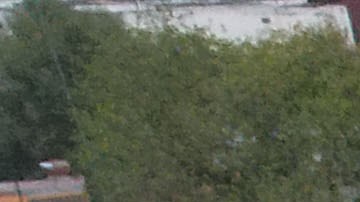 Los mexicanos están unidos para ayudar a víctimas de los sismos en su país.