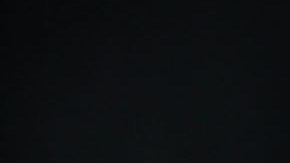 El presidente Trump despierta todo tipo de opiniones.