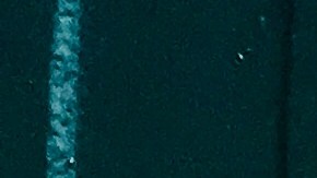 Unas 300 mujeres marcharon en memoria de Gladys Ricart y otras víctimas de la violencia doméstica en Nueva York.