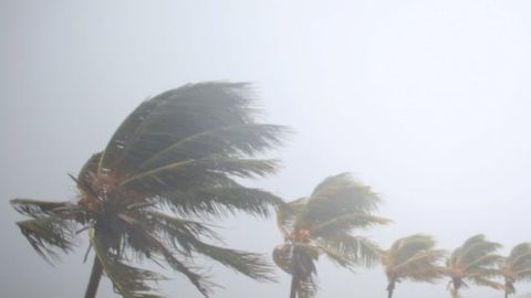Antes de la llegada de Irma, los fuertes vientos ya empezaron a azotar las costas de Caibarién, Cuba.