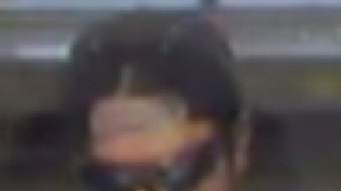 Estas personas han cometidos varios asaltos en NYC.