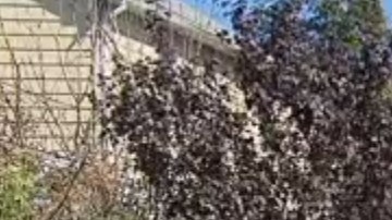 El hombre estaba en el sótano de esta vivienda.