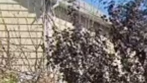 El hombre estaba en el sótano de esta vivienda.