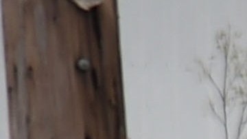 En Puerto Rico la gente se echa a las calles en busca de agua, alimentos y combustible.