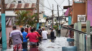 En Puerto Rico la gente se echa a las calles en busca de agua, alimentos y combustible.