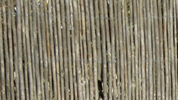 Los neoyorquinos disfrutarán del arte flamenco de Rosario./Cortesía