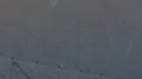 El acto violento se dio en una bodega de la calle 145 en Harlem.