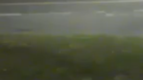 El violador atacó a la víctima mientras la acompañaba a casa.