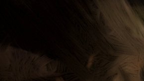 La escurridiza criatura vive a una altura de 30 pies entre los árboles de la isla Vangulu. © 2017 SWNS/The Grosby Group