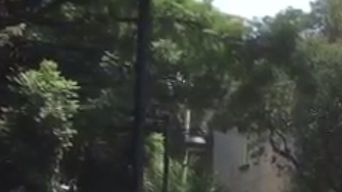 Esta vez la gente reportó la caída de toldos, bardas e inmuebles completos.