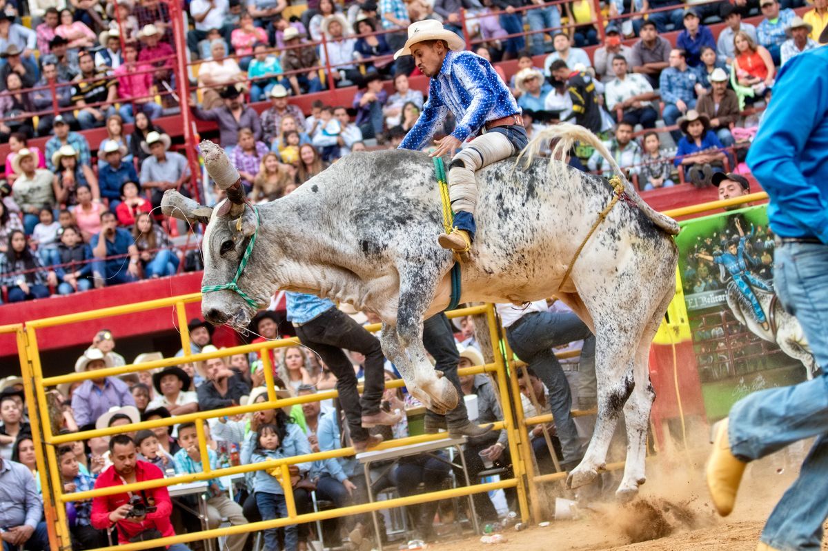 Tiempo Extra Los toros del rancho La Misión llegan a Nueva Jersey (1