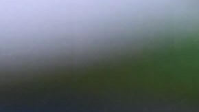 El excongresista de NY convenció a una menor de 15 años a desnudarse y tocarse.