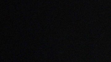 Casi 830.000 individuos de especies invasoras, consideradas una amenaza a la biodiversidad, escaparon a raíz de los daños registrados en la infraestructura acuícola del estado de Morelos. (Jarek Tuszynski/EFE)