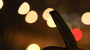 Festividades de Halloween. EFE