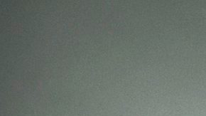 La autoridades de salud de Florida confirmaron la muerte por rabia de una persona que probablemente contrajo la enfermedad tras haber sido mordida por un murciélago. (Koen Van Weel/ EFE)