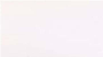 La seño Quimey ya da clases de inglés a sus alumnos. Foto: La Nación