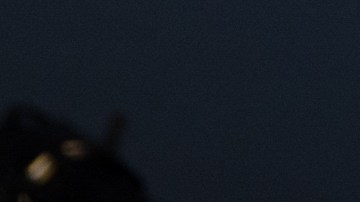 García Bernal y "El Buki".