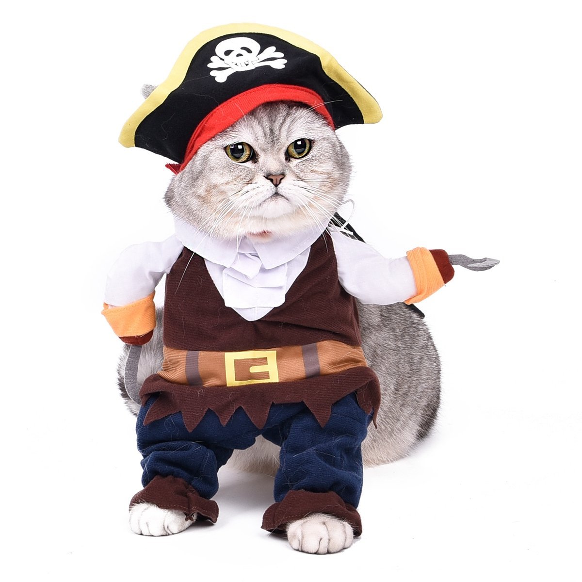 Gato disfrazado de Pirata. Amazon