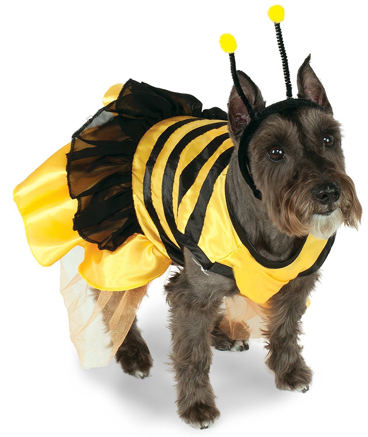 Perro disfrazado de abeja