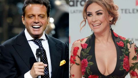 Aracely y Luis Miguel se separaron en 2013.