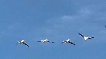 Un amigo de Comey confirmó que la cuenta es de él.