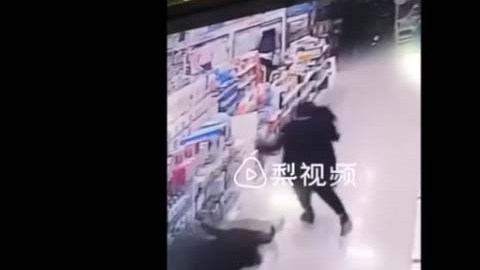 El animal fue atrapado.