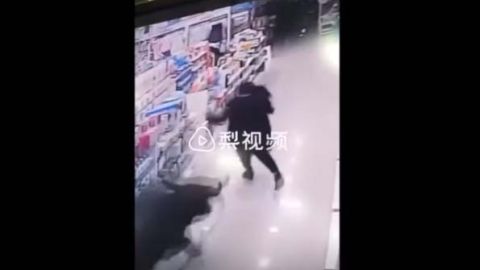 El animal fue atrapado.
