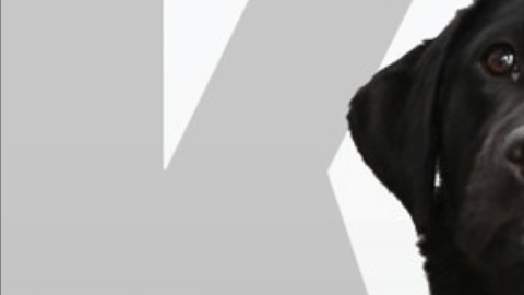 Lulu, la perrita despedida por la CIA