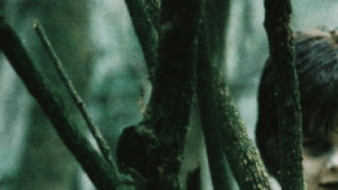 El cine mexicano también ha explorado el género.