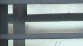 Hombre que manejaba la camioneta de Home Depot mata a 8 personas en el ataque terrorista del Bajo Manhattan.