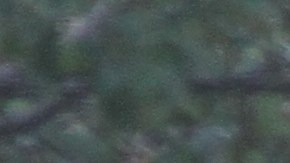 Hombre que manejaba la camioneta de Home Depot mata a 8 personas, de ellas 5 argentinos, en el ataque terrorista del Bajo Manhattan.