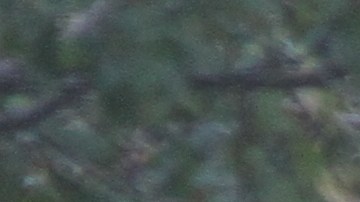 Hombre que manejaba la camioneta de Home Depot mata a 8 personas, de ellas 5 argentinos, en el ataque terrorista del Bajo Manhattan.