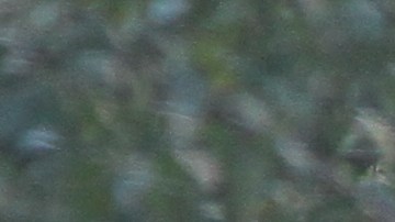 Hombre que manejaba la camioneta de Home Depot mata a 8 personas en el ataque terrorista del Bajo Manhattan.