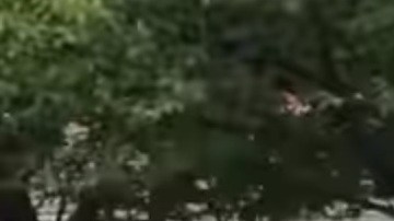 Estudiante protesta con la bandera cubana en mano, frente a la escuela secundaria Cliffside Park en Nueva Jersey.