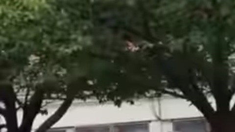 Estudiante protesta con la bandera cubana en mano, frente a la escuela secundaria Cliffside Park en Nueva Jersey.