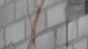 Trabajadores de la Construccion.