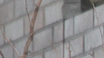 Trabajadores de la Construccion.