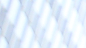 Rally en frente de City Hall para que pasen la ley "Derecho de Saber" en Manhattan.