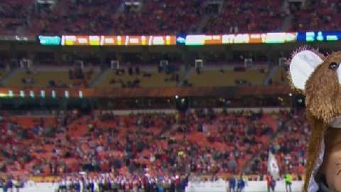 John Sutcliffe sorprendió disfrazado de oso