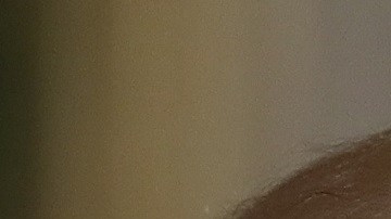 El presidente Donald Trump y su exjefe de campaña, Paul Manafort.