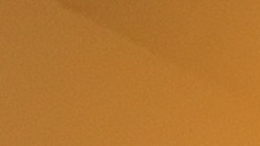 Aunque es una iniativa mexicana se atenderá a "Dreamers" de cualquier país.