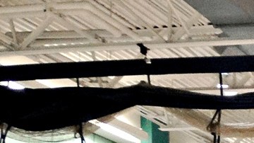 Esta feria se organizó en Freeport, NY.