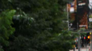 Rose ha negado directamente las acusaciones.