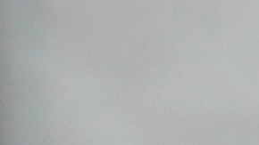 Larry Flynt, editor de la revista "Hustler".