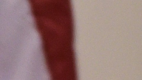 El presidente Trump se refiere a los miembros de la armada como "mis generales", "mis Ejército".