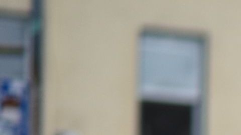 Uno de los principales aportes de inmigrantes es su valor al crecimiento poblacional.