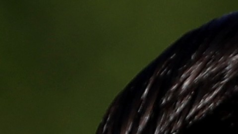 La pareja Trump-Kushner sigue causando polémica en la Casa Blanca.
